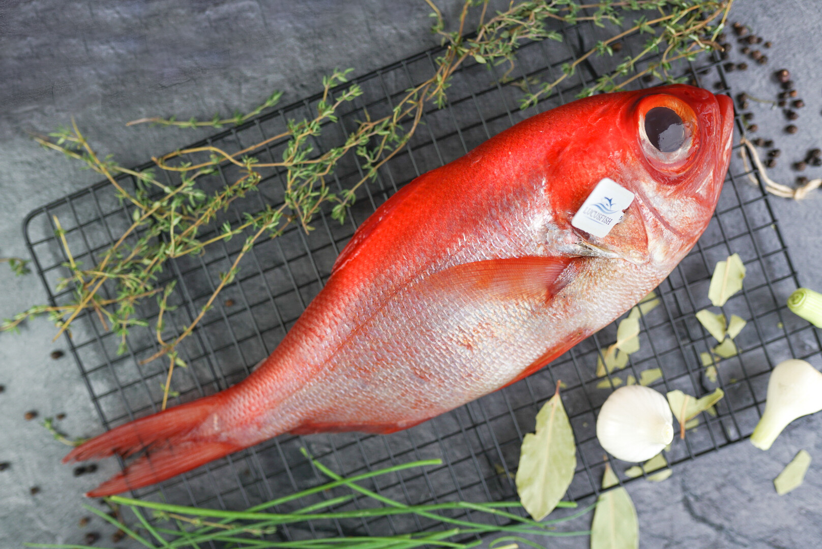 Alfonsino ausgenommen I LA CRIÉE