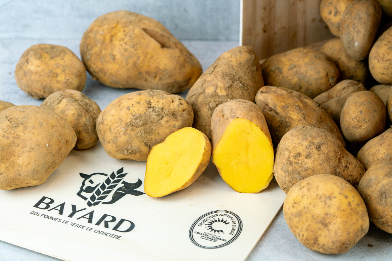 Kartoffeln ´Aztec Gold´ I BAYARD