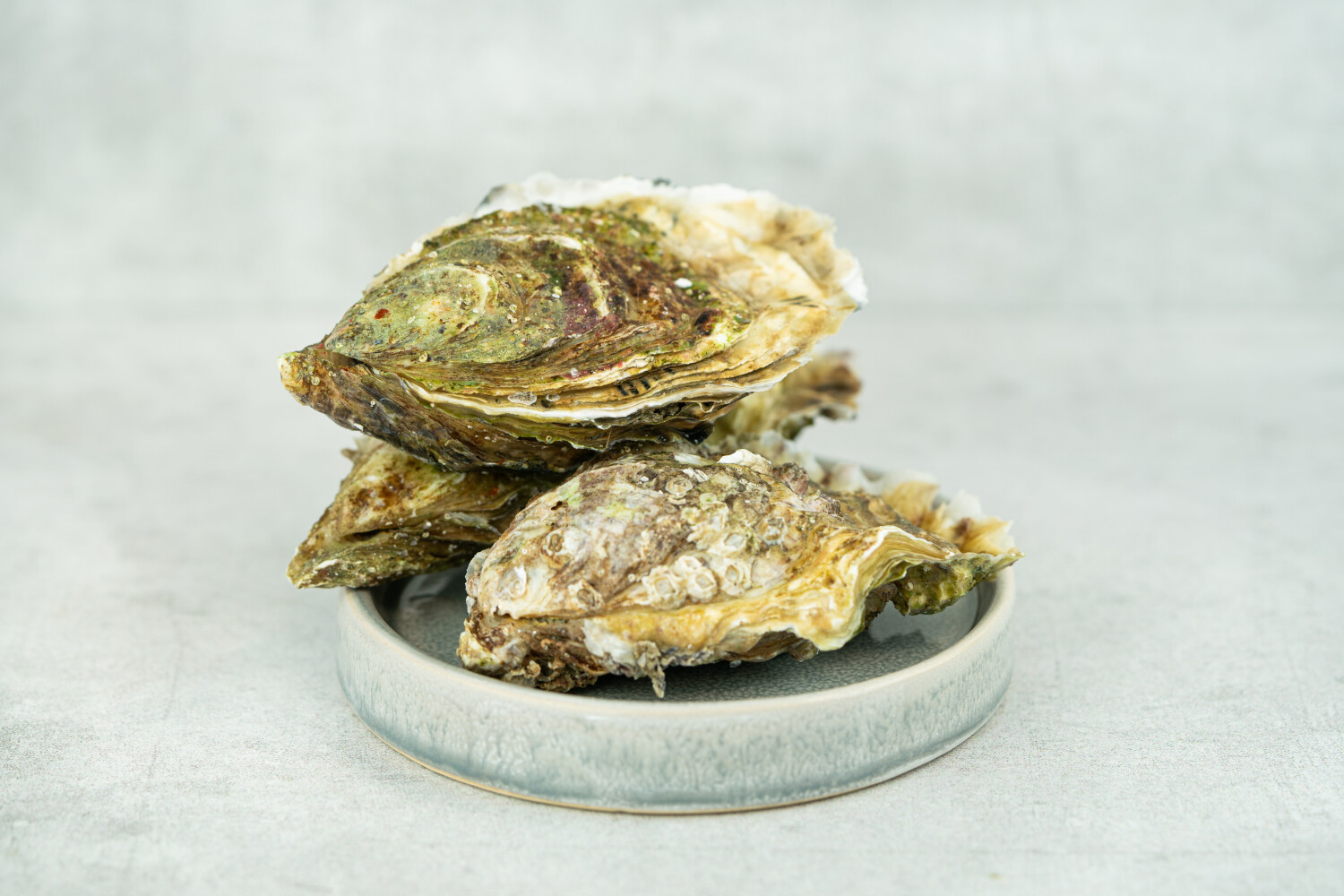 40002354-551520-austern-herve-fine-nr-2-96-stk-korb.jpg Austern Fine N°2 I HERVÉ