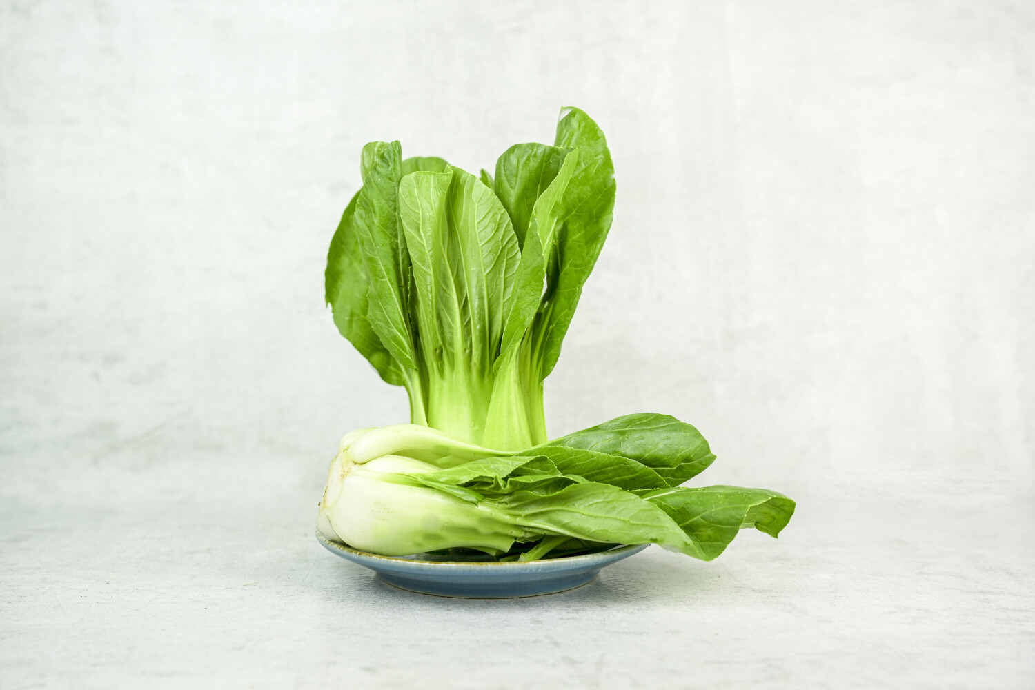 Baby Pak-Choi