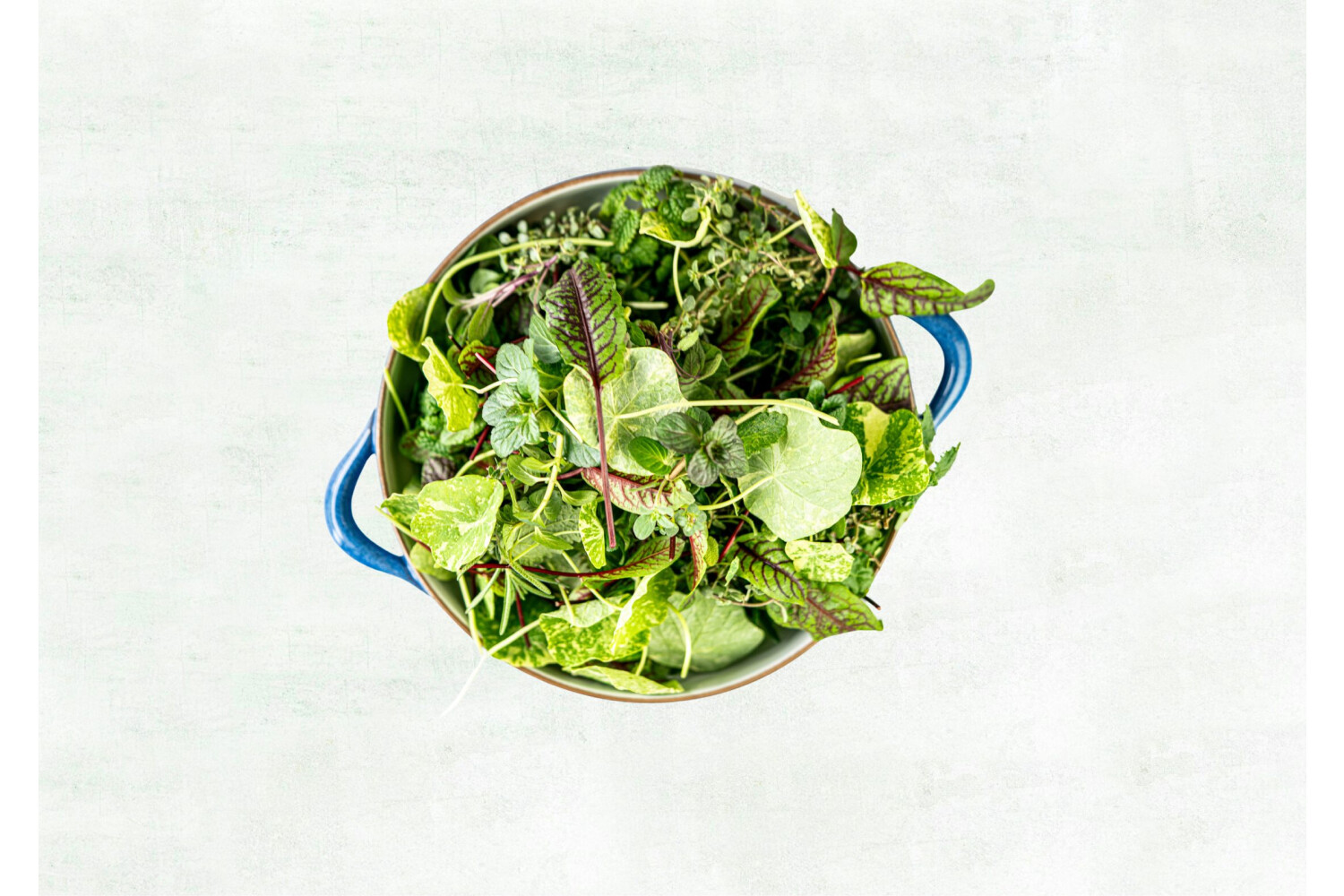 Blätter-Mix I FLAVOUR HUNTERS