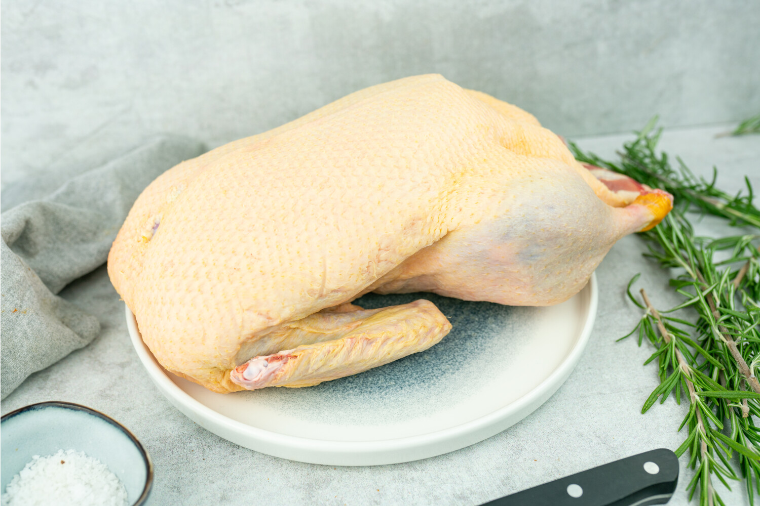 Brandenburger Landente
