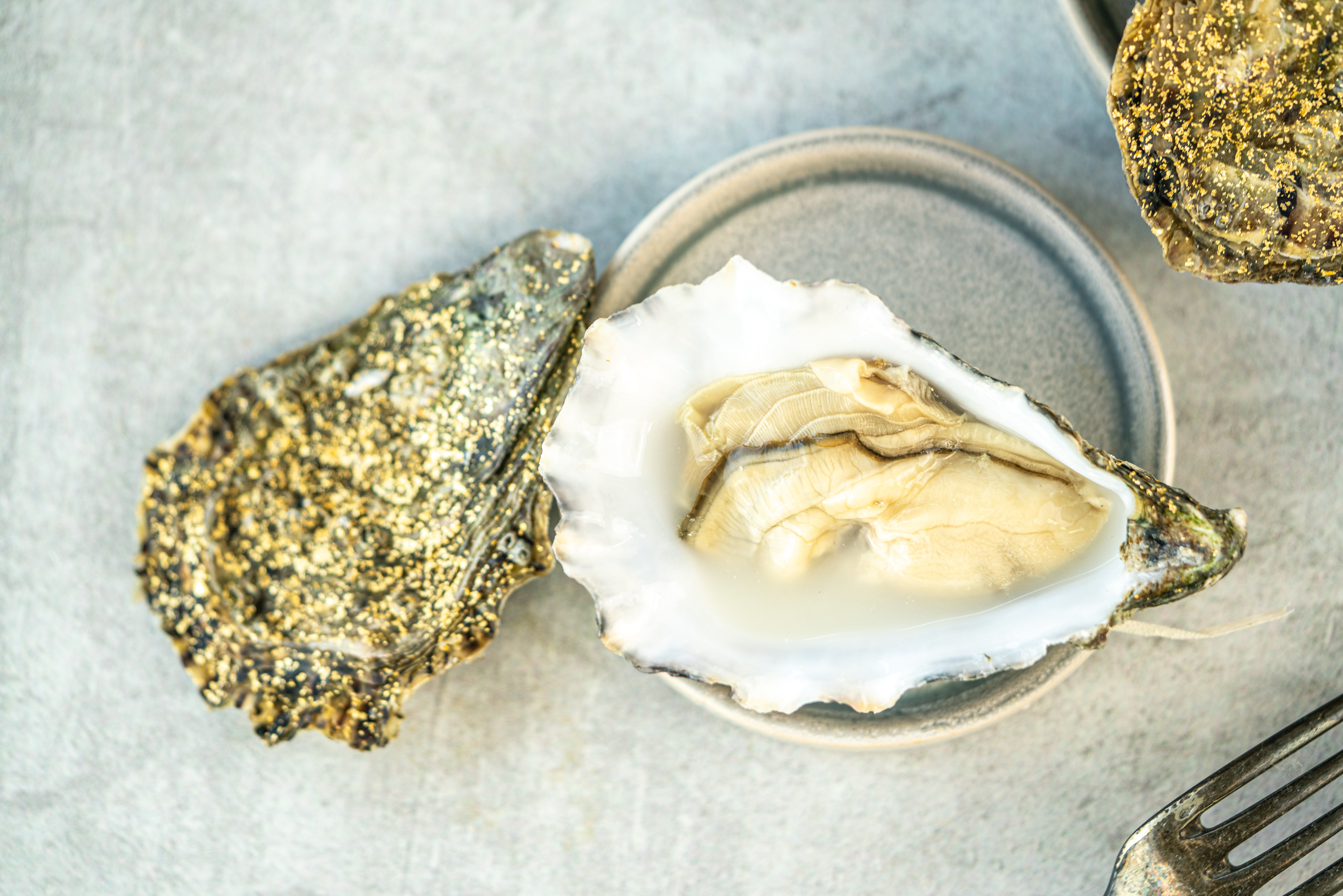 Austern ´Ostra Regal Gold´ No°4 I BOUTRAIS