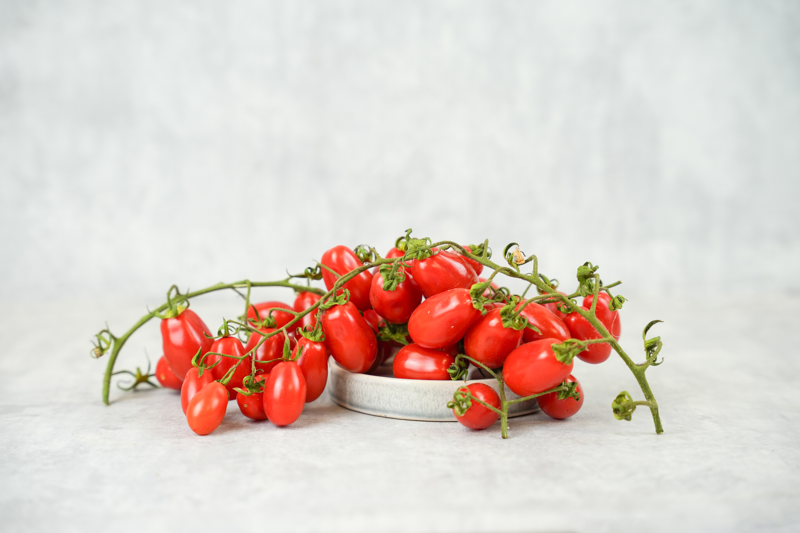 Datterino-Tomaten
