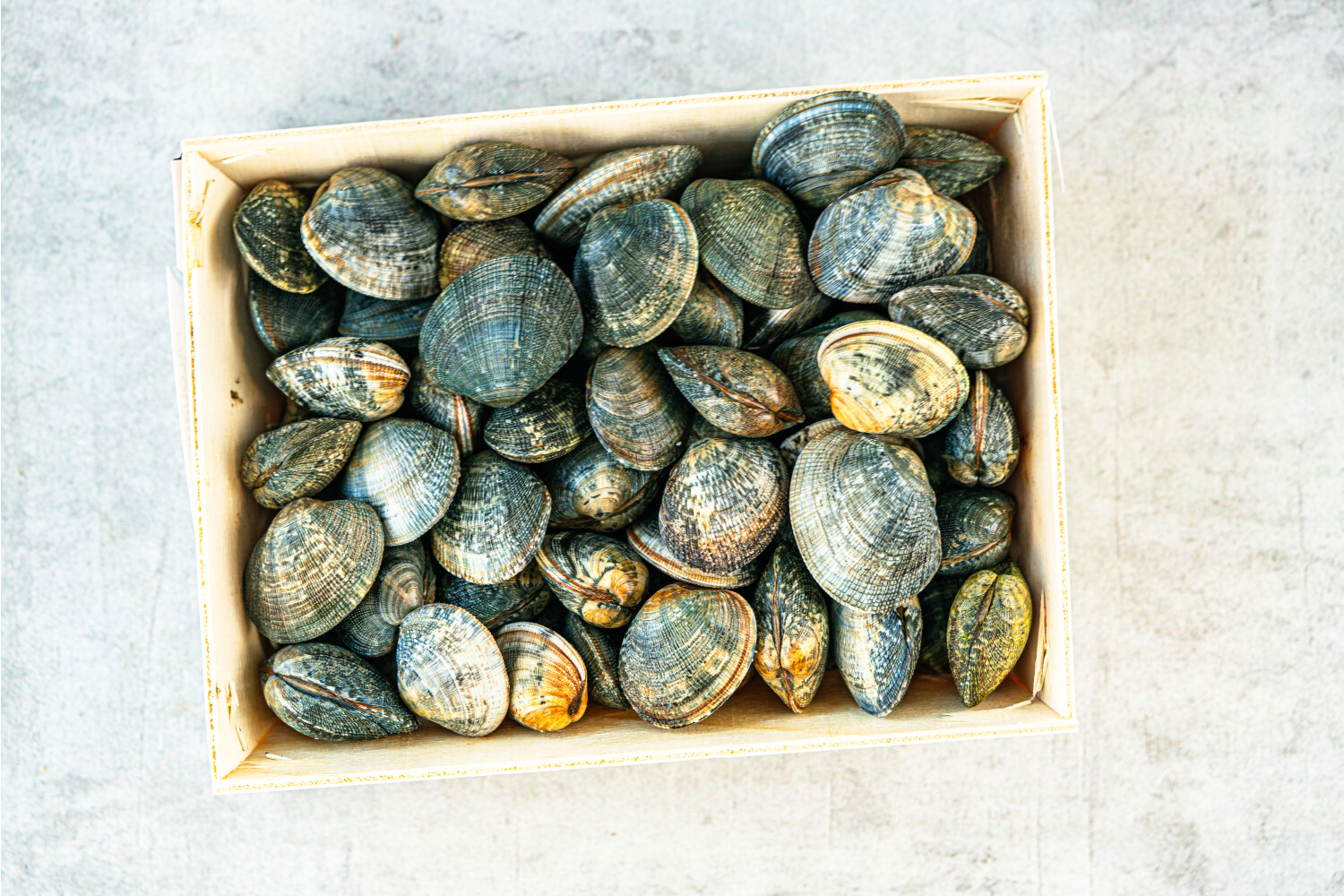 40002225-551539-palourdes-herve-1-0-kg-korb.jpg Palourdes I HERVÉ