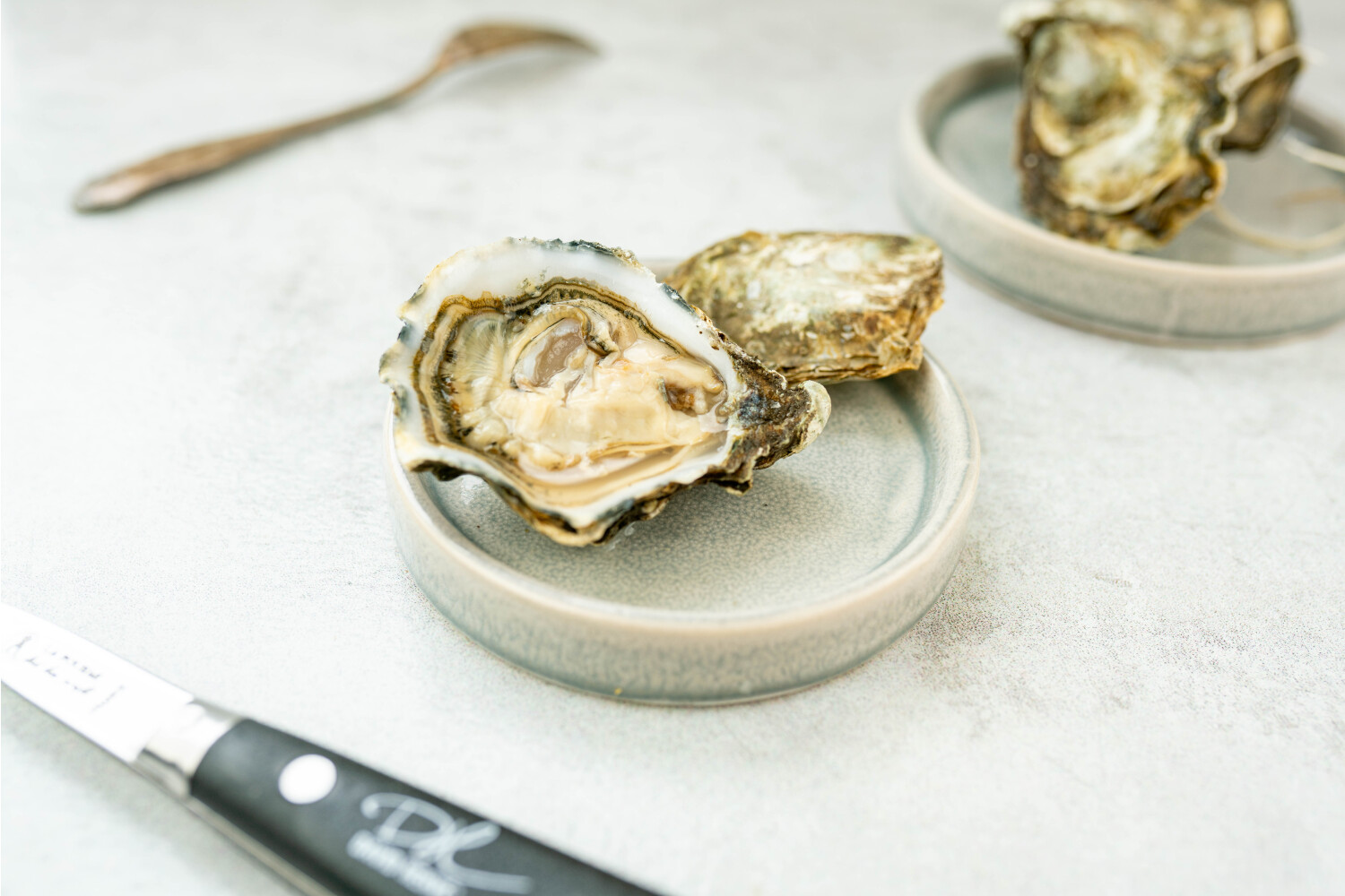 40002349-551530-austern-herve-bb-boudeuse-nr-5-48-stk-korb.jpg Austern Boudeuse N°5 I HERVÉ