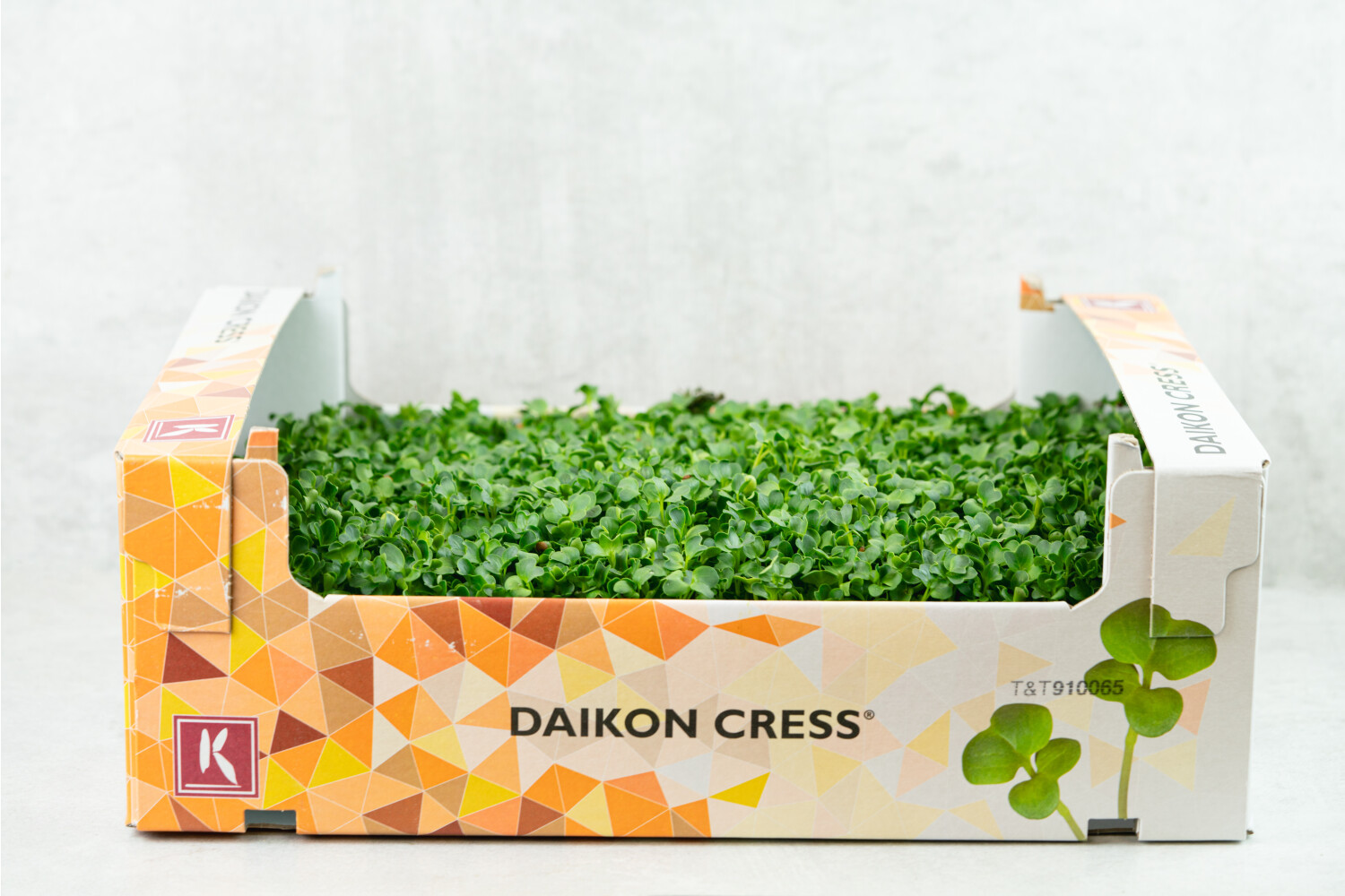 Daikon-Kresse
