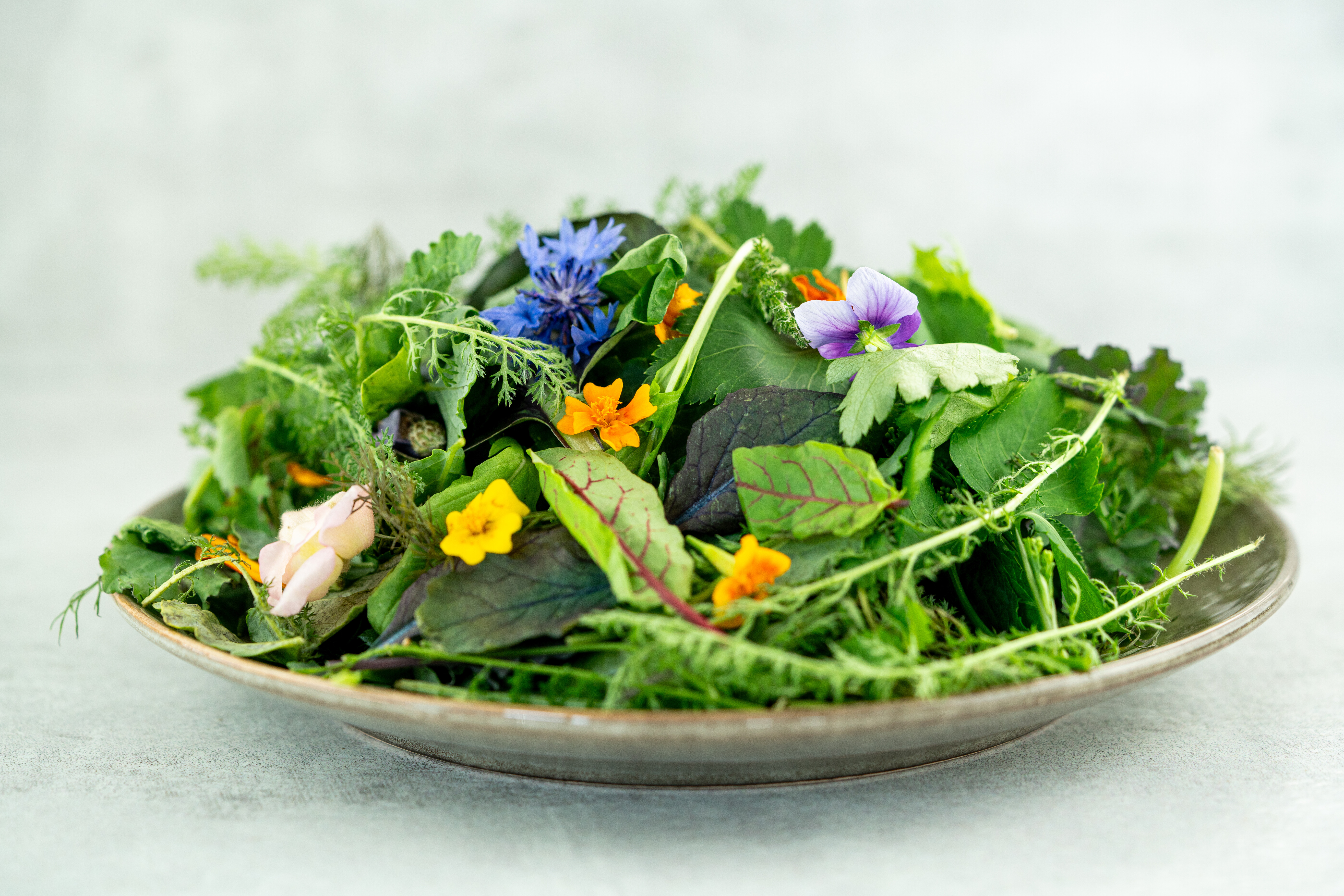 Wildkräutersalat I KELTENHOF