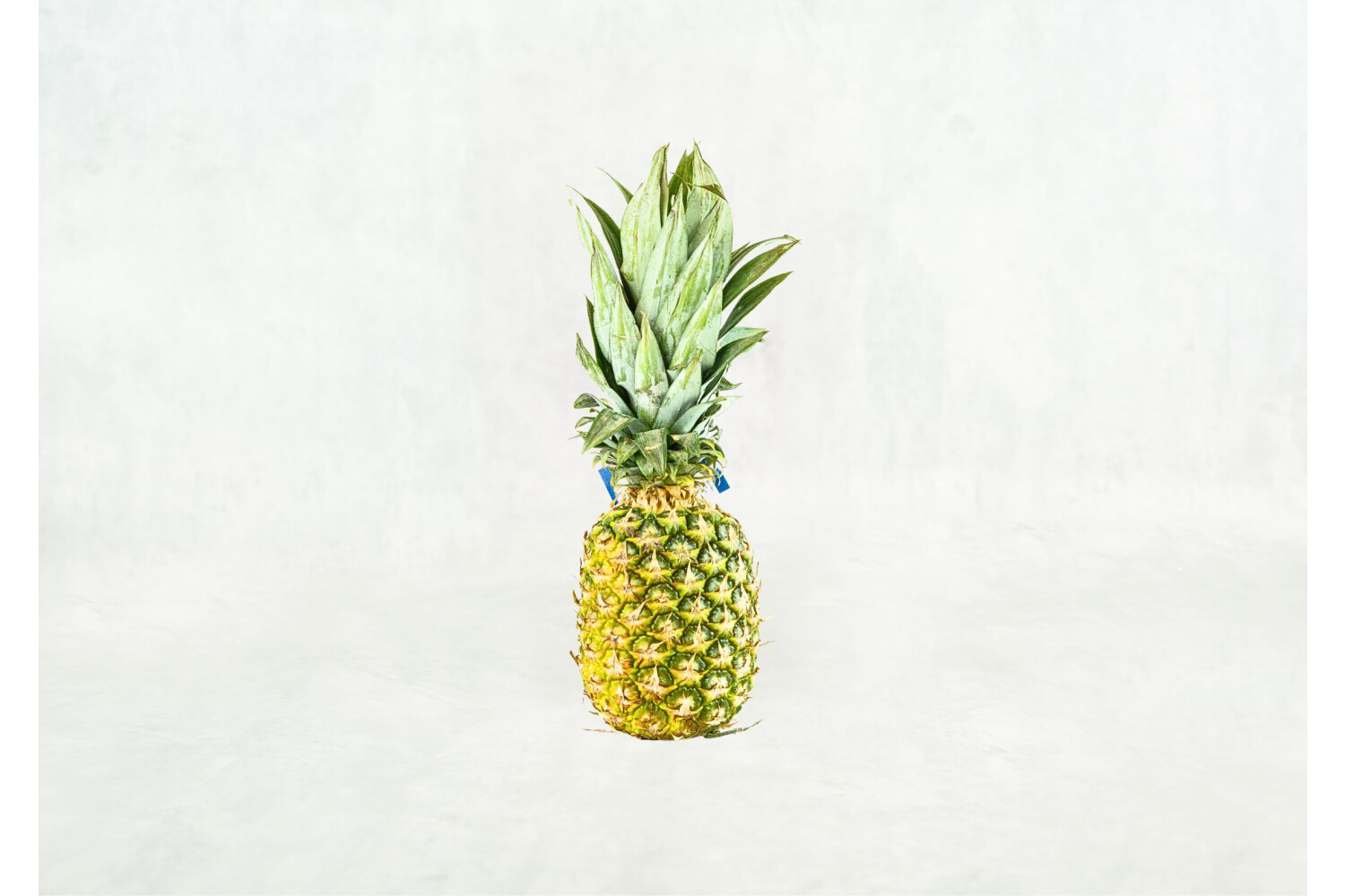Ananas ´Extra Sweet´