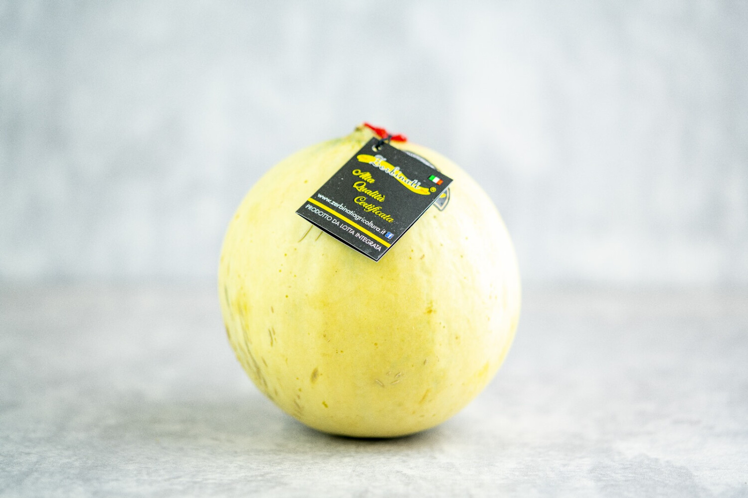 Glatt-Melone I ZERBINATI