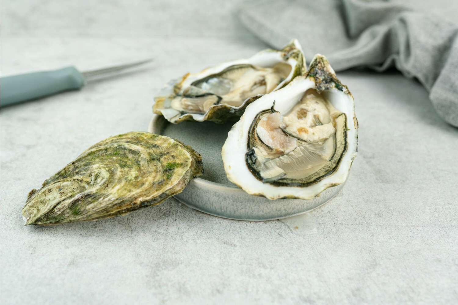 40000304-551468-austern-quot-gillardeau-quot-josephine-no-2-48-stk-ko.jpg Austern No°2 I GILLARDEAU