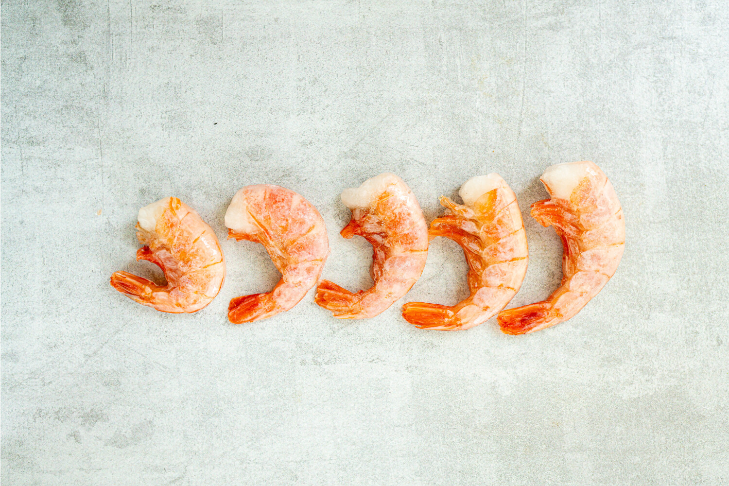 Argentinische Rotgarnelen 8/12