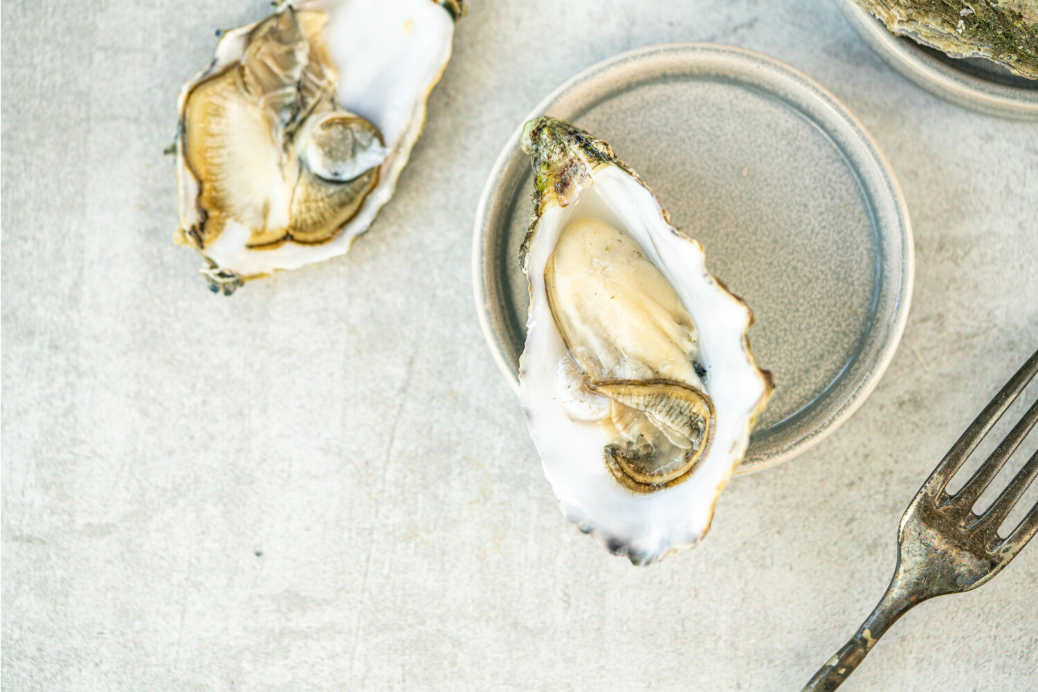 40002356-551184-austern-quot-gillardeau-quot-no-3-48-st-ko.jpg