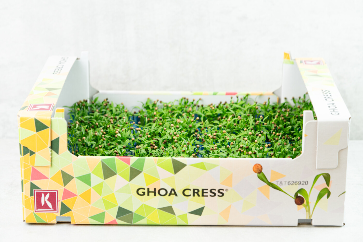 Ghoa-Kresse